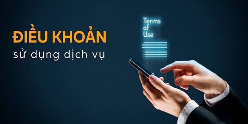 Quy định về sử dụng dịch vụ và bản quyền tại trang bóng đá chính thống