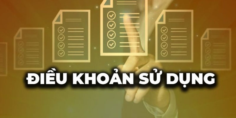 Quy định về nghĩa vụ của website Cakhia đối với khách hàng