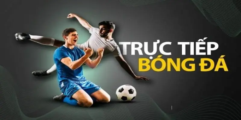 cakhiatv8.online trực tiếp bóng đá