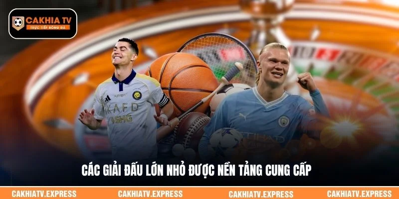 Các giải đấu lớn nhỏ được nền tảng cung cấp 