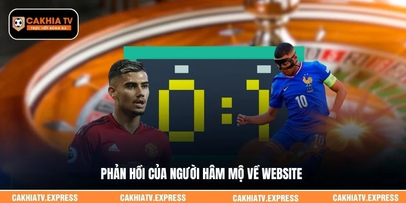 Phản hồi của người hâm mộ về website